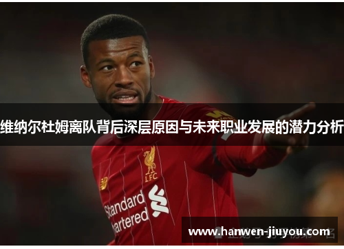 维纳尔杜姆离队背后深层原因与未来职业发展的潜力分析