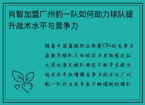 肖智加盟广州豹一队如何助力球队提升战术水平与竞争力